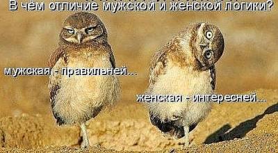 Прикрепленное изображение: впрп.jpg